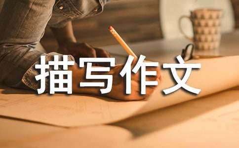 前锋如何通过专项训练提升投篮命中率_0